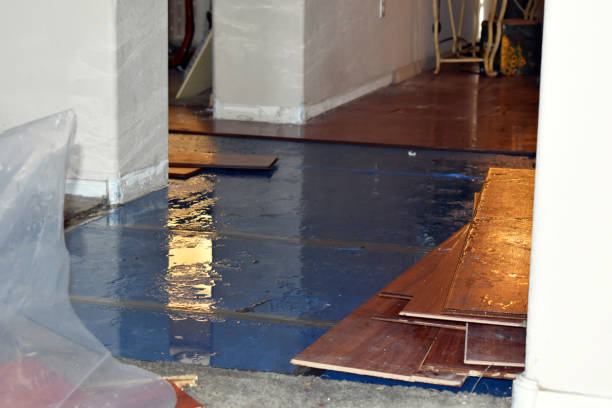 Professional Burst Pipe Cleanup technician working in Resaca, GA
